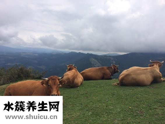 阳虚体质如何调理