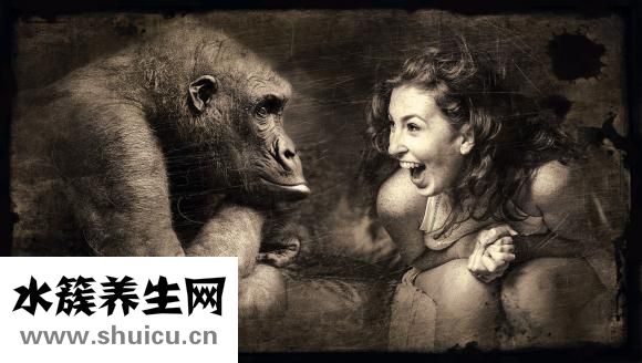 骨质疏松吃什么