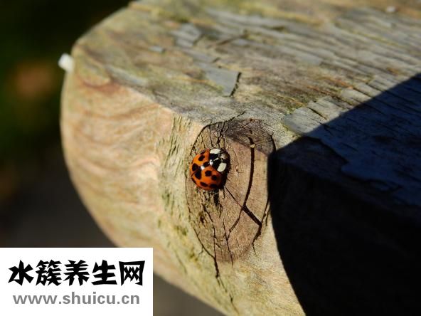 如何去红血丝