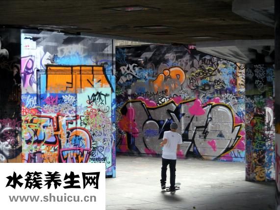 花儿乐队为什么解散