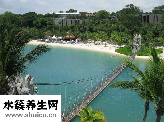 学西点哪里好