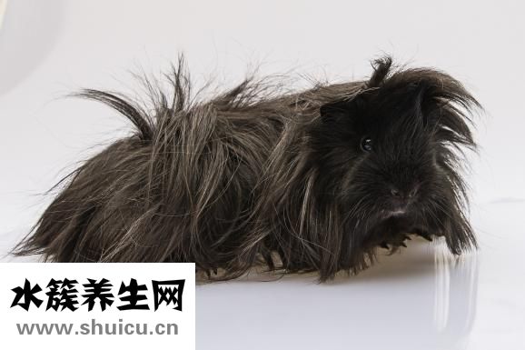 脸上长毛怎么办