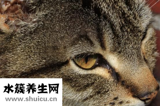 眼睛红是怎么回事