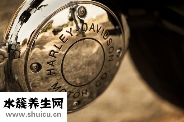 阴虱用什么药