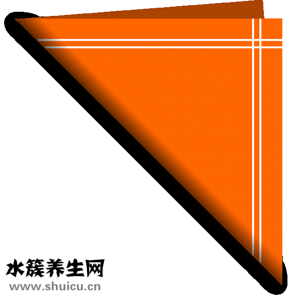 卫生棉条是什么