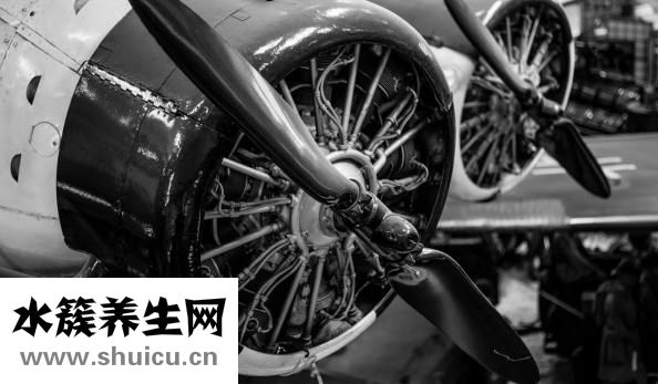 贞操是什么