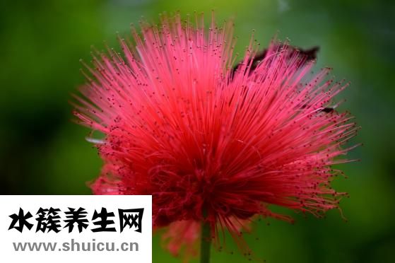 眼袋太大怎么办