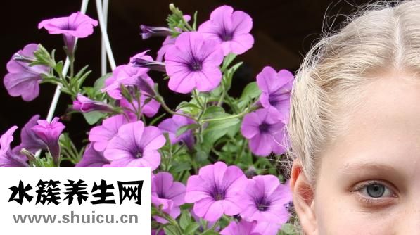 刮宫是什么