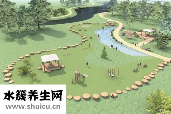 碰碰香怎么养