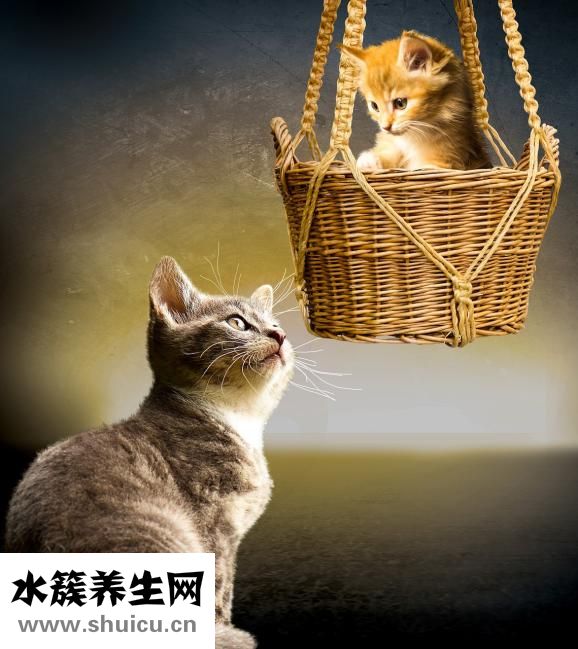 胎儿入盆什么感觉
