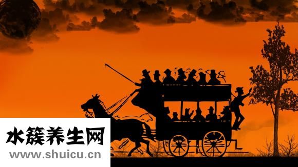 手脚冰凉是什么原因