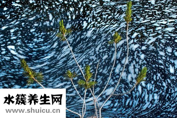 尿毒症有哪些症状