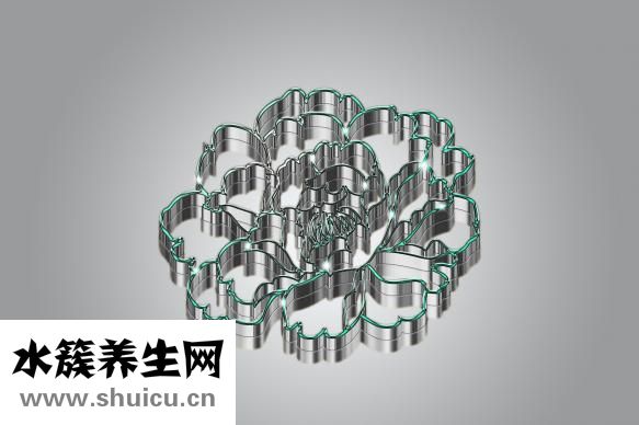 怎么样去除法令纹