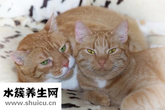 如何去红血丝