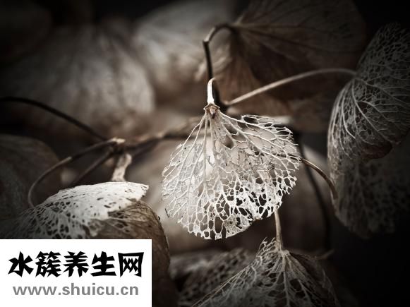 胎记怎么去掉