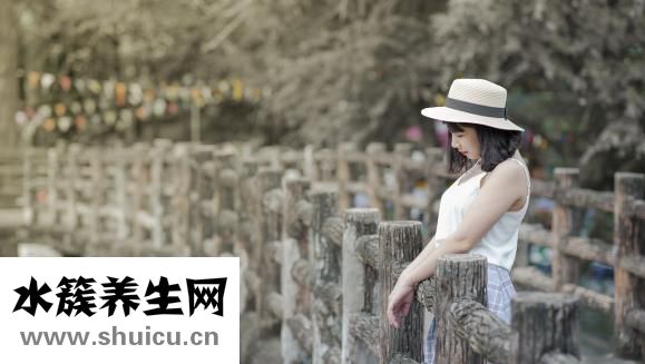 蕨麻怎么吃