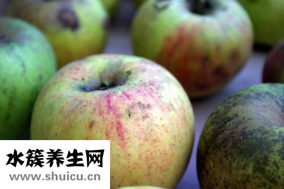 感冒发烧吃什么食物