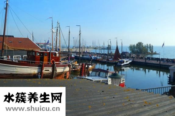 赤潮是什么