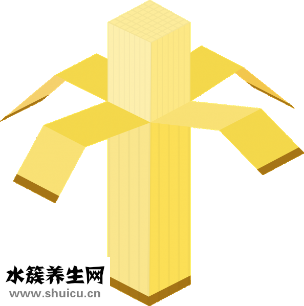 隆鼻怎么样