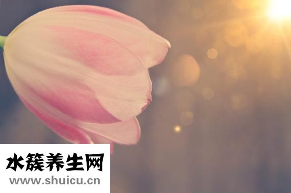 好烦怎么办