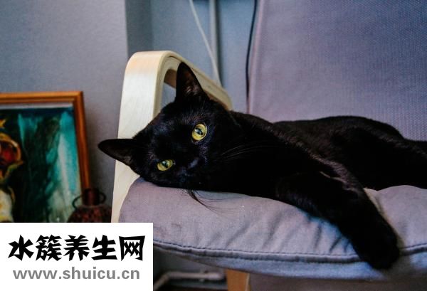 如何织毛衣