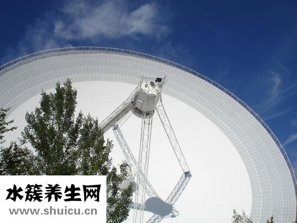 声音怎么说力是声波频率一般叫声响声声贝力最强