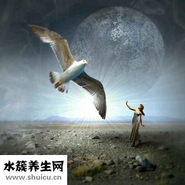 孕妇应该吃什么奶粉