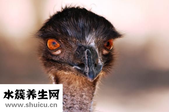 怎么样才能去眼袋