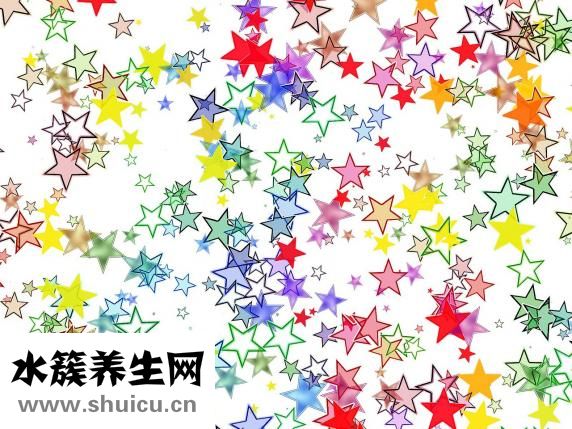 干海参怎么做