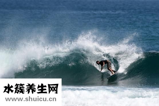 山药是什么