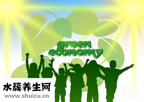 杨梅什么时候成熟