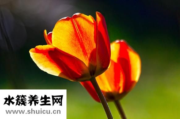 如何改变自己的声音