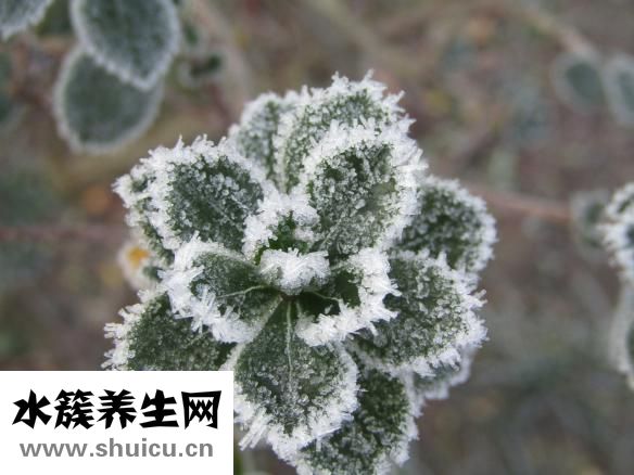 哪里丰胸好