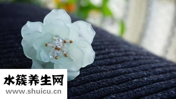 粉玫瑰代表什么