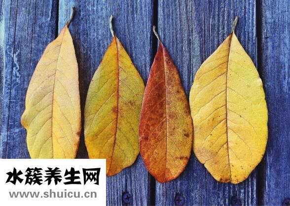 怎么炸带鱼