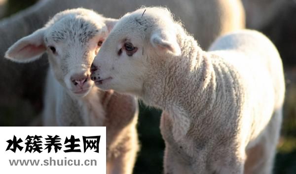 脸色发黄怎么办