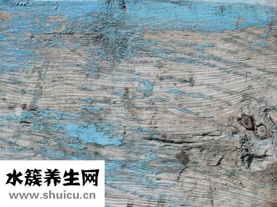 痤疮如何治疗
