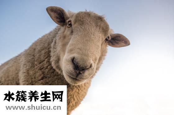 脸色发黄怎么办