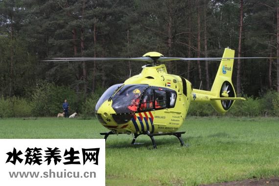 失眠多梦吃什么药