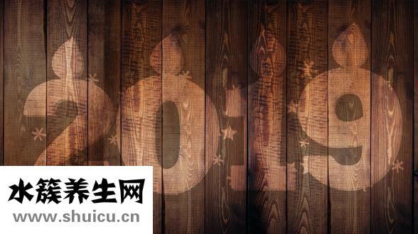 肾痛是什么原因