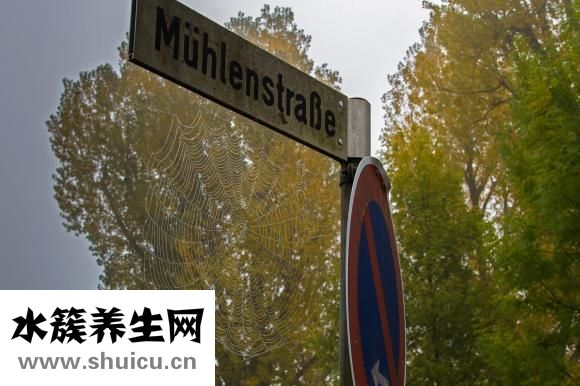 怎么样才可以去眼袋
