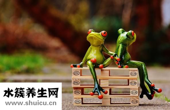 吃什么药补肾