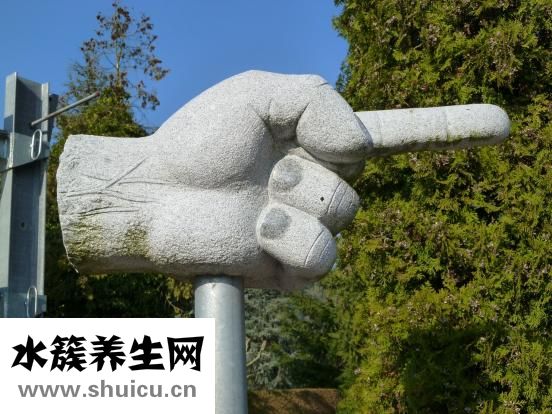 带脉在哪里