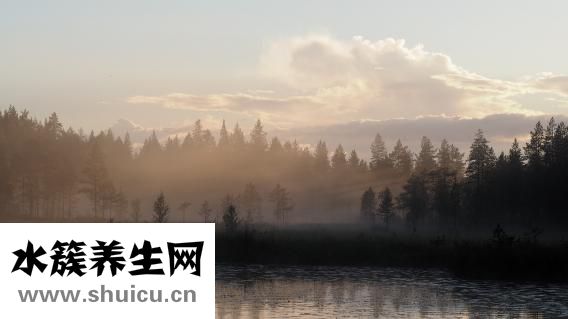 屈原是哪里人