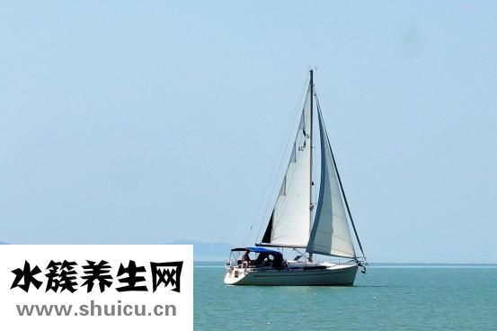 明星怎么减肥的
