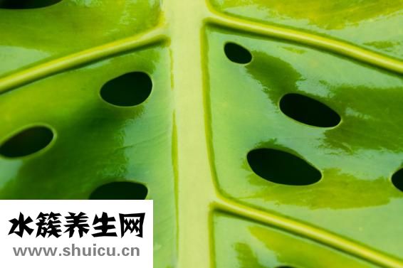耳膜破了怎么办