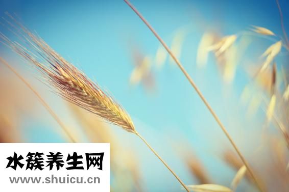 更年期潮热怎么办