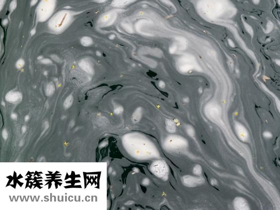 哪里拍婚纱好