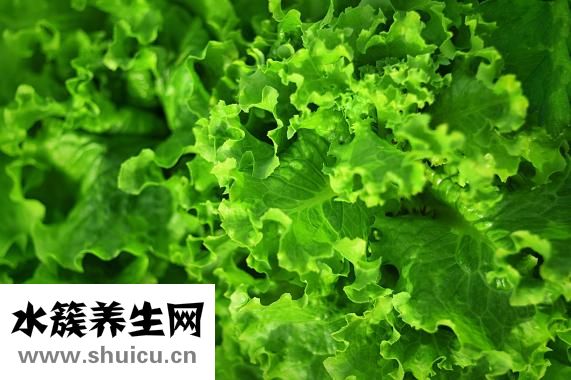 春节吃什么