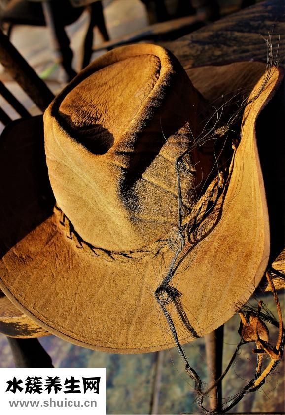 头发掉得厉害怎么办